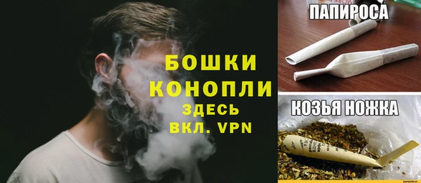 эйфоретик Аркадак