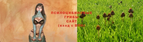 молекула духа Армянск