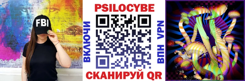 Псилоцибиновые грибы Cubensis купить наркоту Никольское